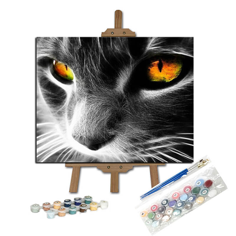 Kit Pintura: Cuadro para Pintar por Números 40x50cm Gato Bigotes PINTALA  CUADROS