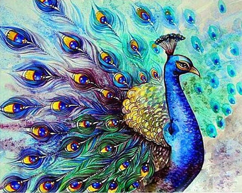 pavo real-helnee