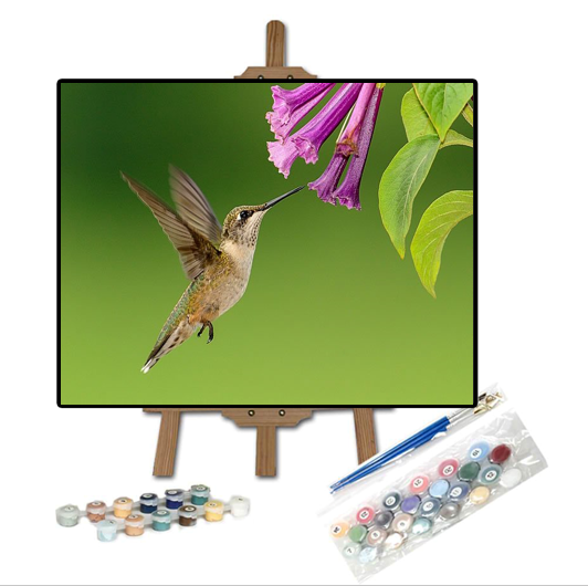 PINTAR CON NUMEROSLindo colibrí