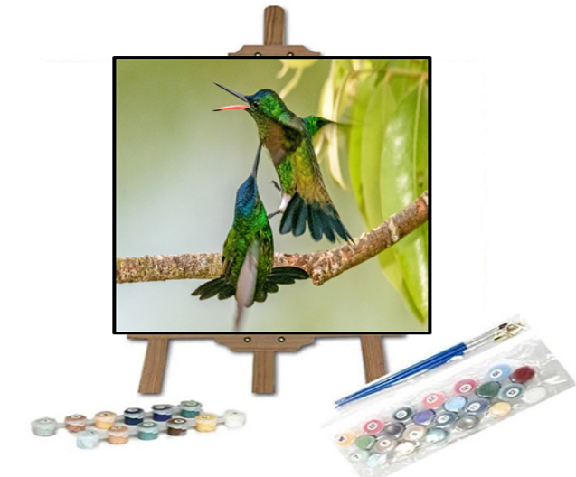 Pintar con números Dos colibríes