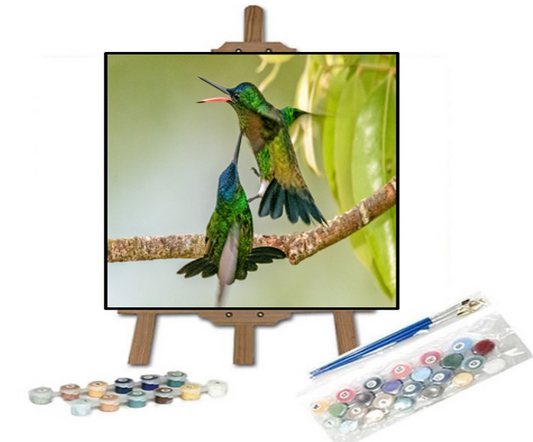 Pintar con números Dos colibríes