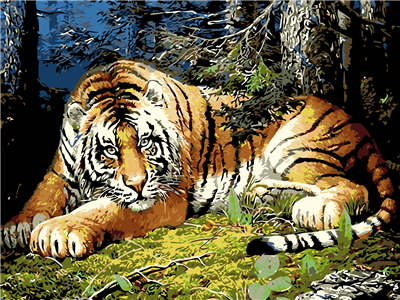Pintar con numeros El tigre te está mirando