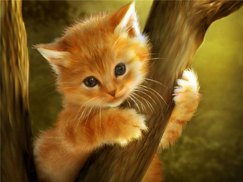 Gato en el árbol
