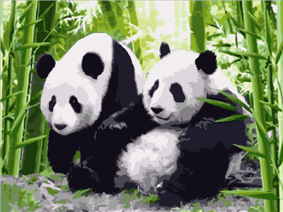 Pintar con numeros Pareja Panda