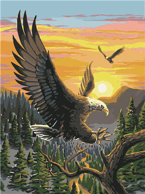 Pintar con numeros Un águila macho