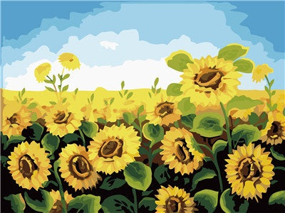 DIY PINTAR POR NÚMEROS Sunflower Field