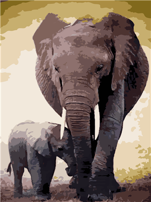 Pintar con numeros Elefante Madre e Hijo