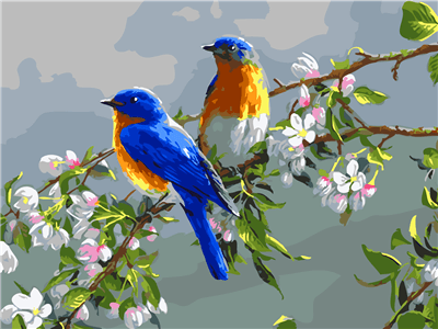 Pintar con numeros Pájaros en flor de pera