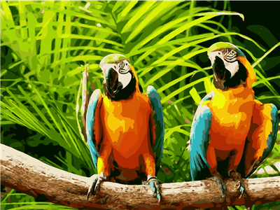 Two Parrots-helnee