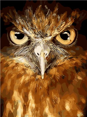 Pintar con numeros Mirada de águila