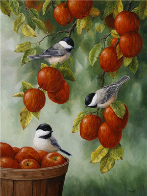 Pintar con numeros Manzana y gorrión