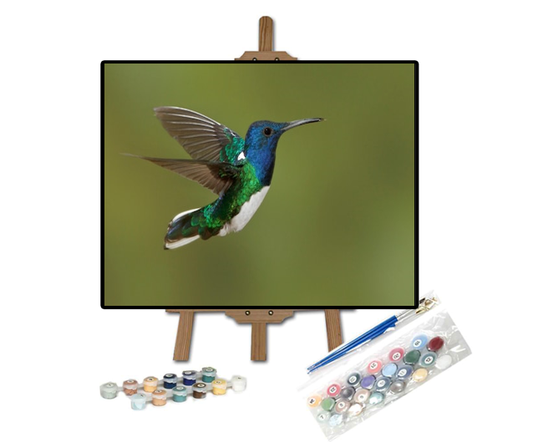 Pintar con números El colibrí azul volando