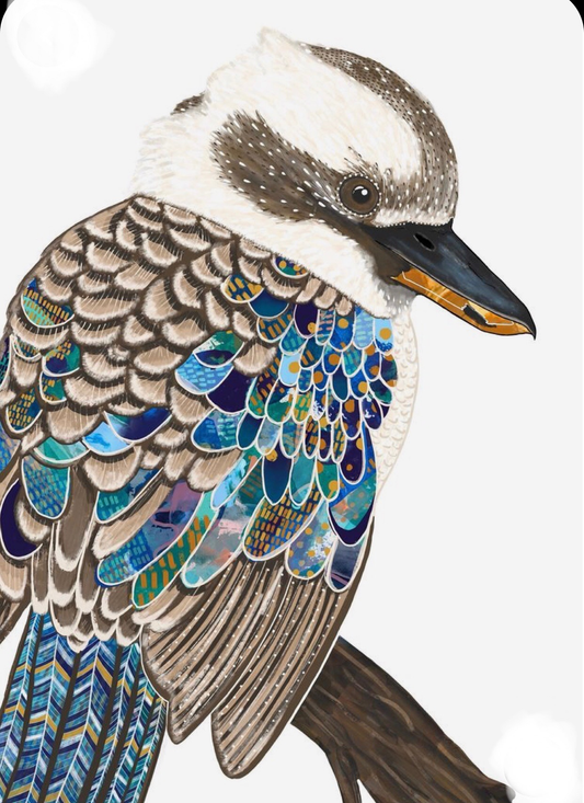 Australian Native bird-helnee