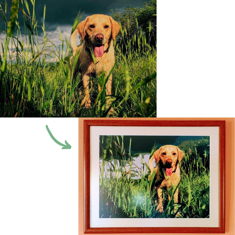 Dog photo to paint by numbers